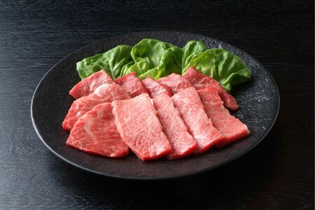 ※写真はイメージです