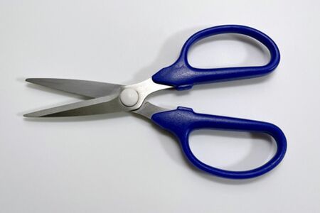 冬の定番「鍋料理」はハサミだけで完結