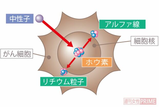 【BTCTのしくみ】がん細胞にホウ素を取り込み、エネルギーの低い中性子線をあてる。ホウ素が核分裂を起こして粒子線を発生し、がん細胞を破壊。細胞の大きさしか飛ばない粒子線のため、正常な細胞を傷つけない。ひとつひとつのがん細胞の中で起こる、今までにない粒子線治療