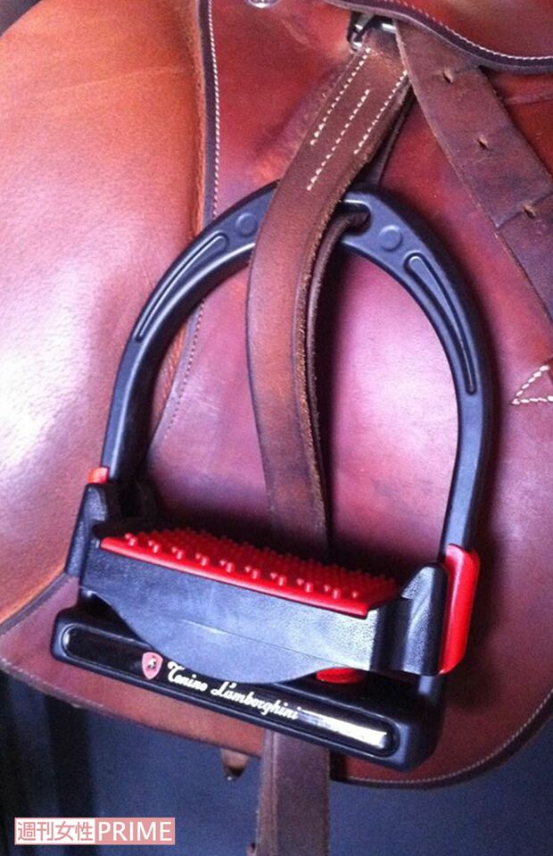 イタリアの高級自動車メーカー「ランボルギーニ」の鐙（あぶみ）。鞍 (くら) の両側に吊下げて，乗る人が足を掛ける馬具