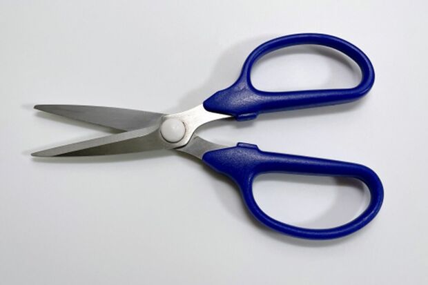 冬の定番「鍋料理」はハサミだけで完結