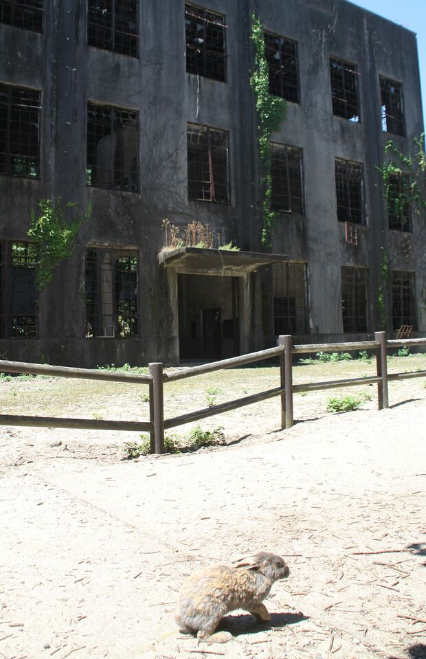 ウサギが有名な観光地でもある大久野島