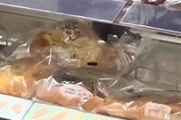 ローソン店内でネズミが商品のパンをかじる衝撃動画がSNS上で拡散、同社は「近畿地方の店舗であると事実確…