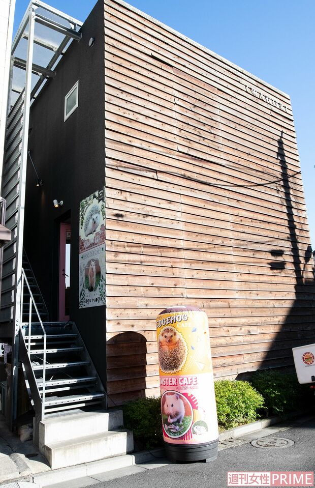 ハムスターカフェ mogumogu