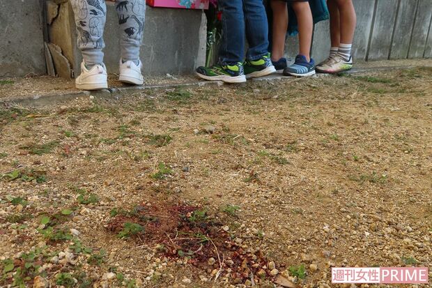 地元の小学生も手を合わせていた。そばに落下の衝撃を物語る血痕（上の手前）が残る