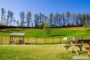 『ペットの里』