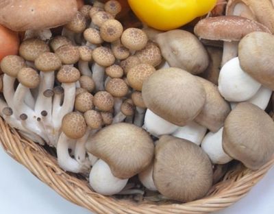 いつもの食事にきのこをプラスで老化防止&ダイエット