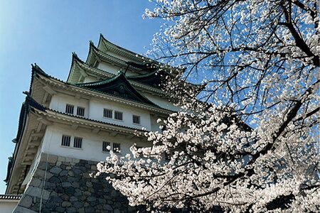 「名古屋市・名古屋城」