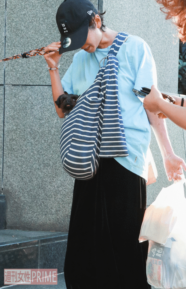 記者の直撃に、袋の中のワンちゃんもビックリ!?