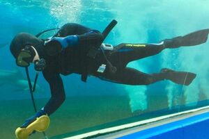 『のとじま臨海公園水族館（のとじま水族館）』公式ツイッターより