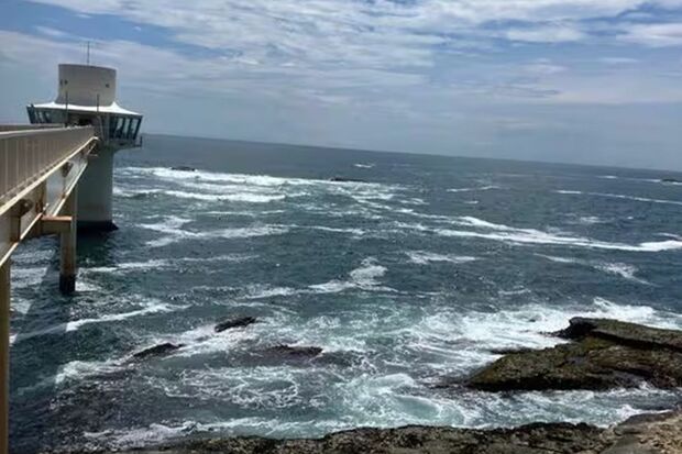 勝浦（筆者撮影）