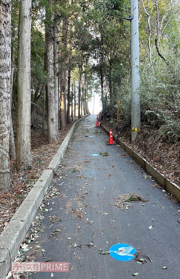 最寄り駅の鶴川駅からスタジアムまでの道中。森に囲まれた道になっていて、急な坂道が続く