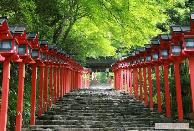 朱塗りの春日灯籠が並ぶ貴船神社本宮の表参道。神秘的な空気が流れ心が浄化されていく
