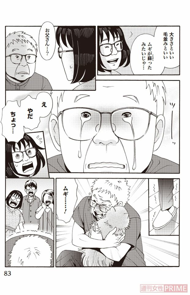 『ペット共生型マンション物語　ハイツ祐天寺へようこそ』第3巻（漫画柏屋コッコ／原作小林のえ）