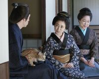 『あさが来た』新次郎役演じる玉木宏、実は猫アレルギー