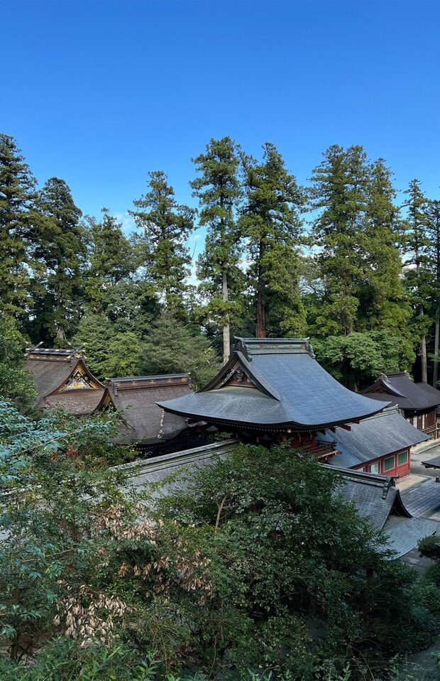 本殿と拝殿はともに平成25年に修復が行われた