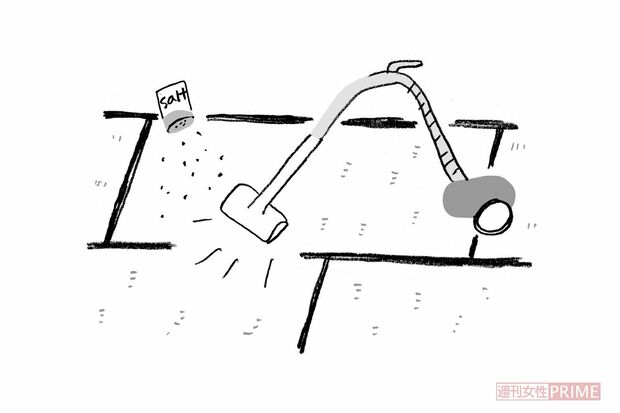 畳の掃除は塩を使ってサッパリ　イラスト／やのひろこ　