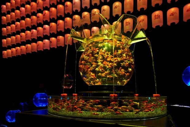 龍宮城に迷い込んだような魅惑の水族アート／「ECO EDO日本橋アートアクアリウム2017～江戸・金魚の涼～＆ナイトアクアリウム」