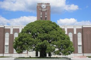 京都大学