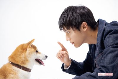 劇中で柴崎が飼っていた柴犬・太郎（本名きぃ）と久しぶりの対面を果たした中川大志　撮影／齋藤周造