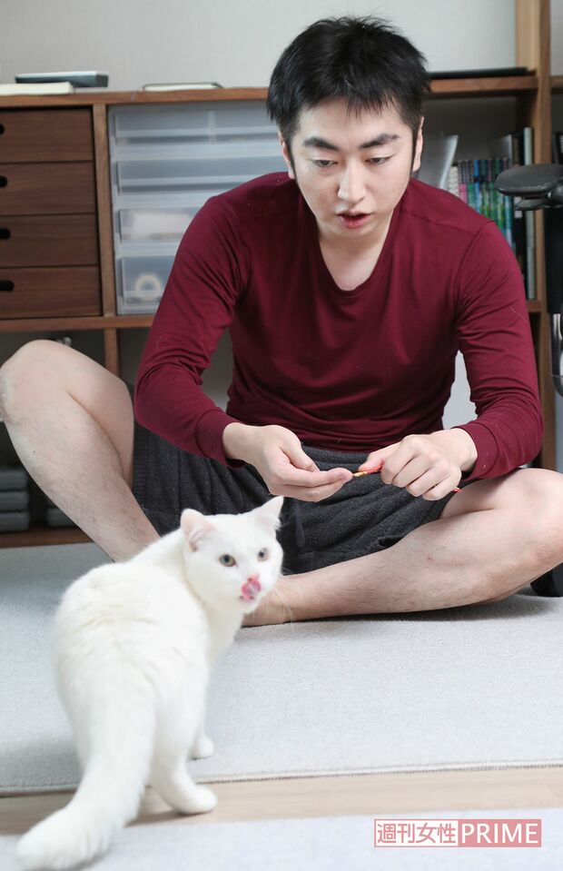 「猫レンタル」では、仲よくなる過程で幸福感と同時に恐怖心を抱く結果に