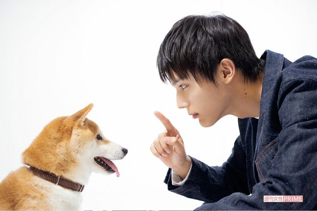 劇中で柴崎が飼っていた柴犬・太郎（本名きぃ）と久しぶりの対面を果たした中川大志　撮影／齋藤周造