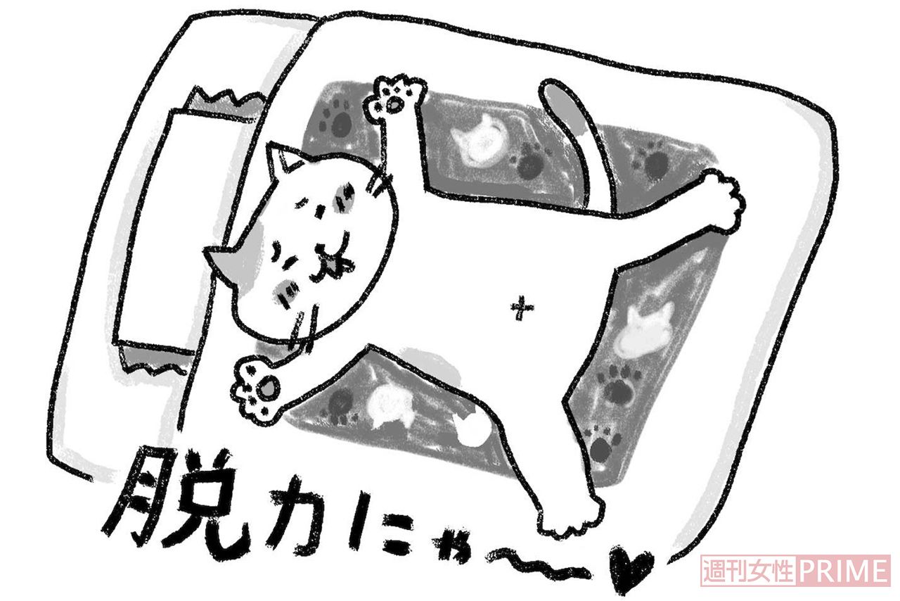 画像 写真 不安 ストレスが吹き飛ぶ 精神科医が実践 猫みたいにノーストレスで生きる ニュース概要 週刊女性prime