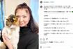 八代亜紀さんが里親として引き取った保護猫のミャンタン（本人のSNSより）