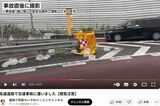 交通事故後の様子を紹介した動画（『霜降り明星せいやのイニミニチャンネル』より）