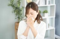《今年は暖冬》気温が上昇で一気に「スギ花粉」が飛散!札幌では55年ぶりの気温観測、今後の状況とメガネ・…