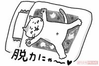 不安&ストレスが吹き飛ぶ!精神科医が実践、猫みたいにノーストレスで生きる