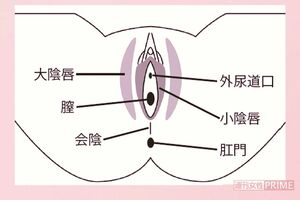 デリケートゾーン