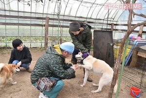 『阿蘇くまもとシェルター』で支援者に爪を切ってもらう犬たち