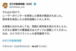 《サル山に向けて、レーザーポインターを照射した事実が確認されました》と報告したニホンザル・パンチくんらが暮らす『市川市動植物園』(公式Xより)