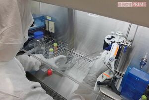 患者から成分採血した単球（白血球のひとつ）を培養して樹状細胞に分化させ、免疫機能活性物質を加えて治療薬を作成する