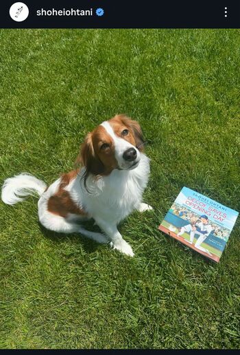 大谷翔平公式Instagramより