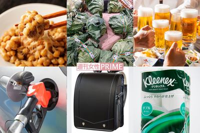 《家計直撃》納豆は値上げ・生活用品は値下げ、4月以降「上るモノ&下がるモノ」
