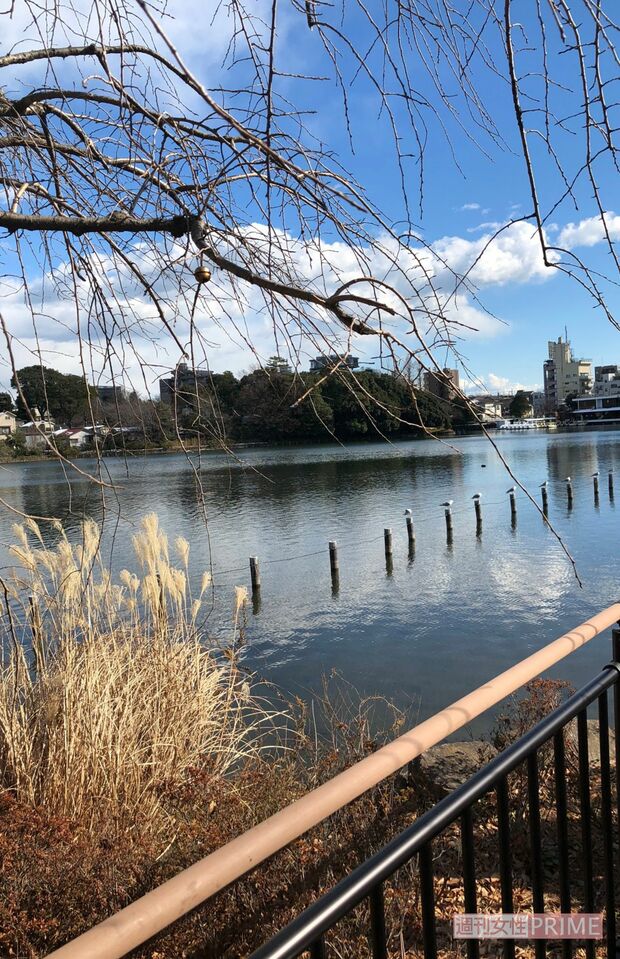 岩下志麻お気に入りのお散歩コースにある風景（2020年5月・本人撮影）