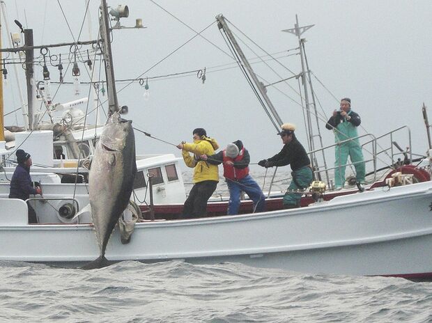 『第12回萩クロマグロトーナメント』で325キロの巨大クロマグロを釣り上げ優勝した松方弘樹さん（右から2人目）〈萩市提供〉
