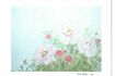 北原佐和子出演の『牡丹と薔薇』で使用された小道具(絵画)の下絵