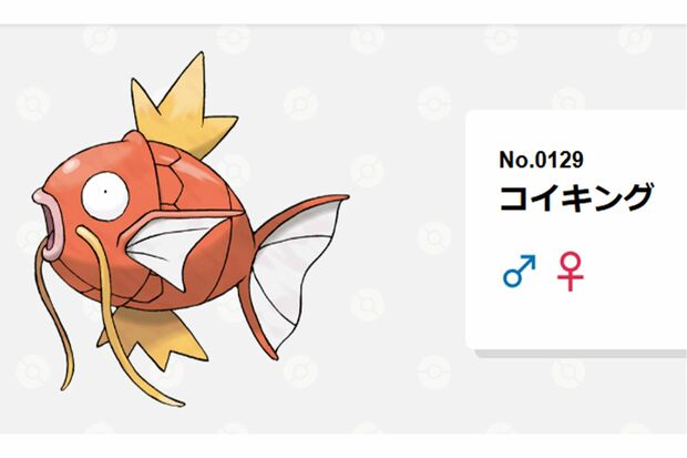 広島の『パートナーポケモン』コイキング（ポケモン公式サイトより）