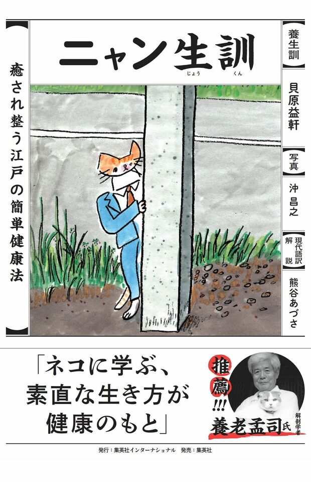 『ニャン生訓』※記事の中で画像をクリックするとamazonの紹介ページに移動します