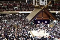 《2026年大相撲初場所》相撲協会・親方衆が悲痛な叫び「絶対にやめて」座布団投げ、手拍子応援…観戦マナーの“実態”