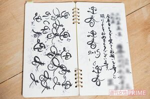 ＜20代、女性、帰国子女(2)＞年賀状用か、筆ペンの練習も。そのほか、彼女の5年分を1冊にまとめた“5年日記”もオススメ。