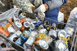 空き缶潰しの手は休めない 写真/編集部