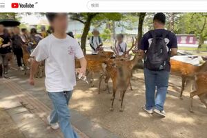 YouTubeに投稿された、奈良公園で鹿を蹴飛ばす男性、どこかイライラした面持ち（一部編集部加工）
