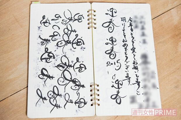 ＜20代、女性、帰国子女(2)＞年賀状用か、筆ペンの練習も。そのほか、彼女の5年分を1冊にまとめた“5年日記”もオススメ。