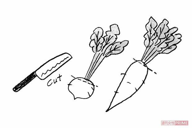 【葉つきの大根・かぶ】本体の水分を奪う、買ったらすぐ葉を切り落とす　イラスト/やのひろこ