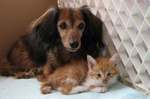 ※写真はイメージです