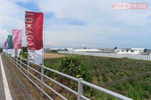 沿道から見たサーフィン会場。右側奥に白を基調とした施設がいくつも並ぶ